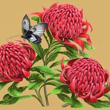 Схема вышивки «бабочки и цветы»