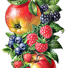 Схема вышивки «фрукты»