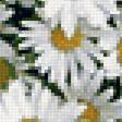 Предпросмотр схемы вышивки «ромашковое сердце» (№1258607)