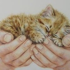 Схема вышивки «Котенок»