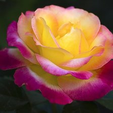 Схема вышивки «№1259381»