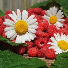 Схема вышивки «малинка и ромашки»