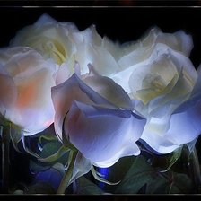 Схема вышивки «розы»