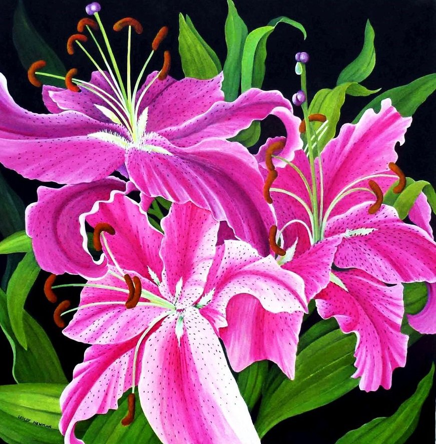 Лилии - цветы - оригинал