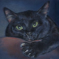 Схема вышивки «киса»