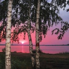 Схема вышивки «березовый закат»