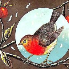 Схема вышивки «Снегирь»