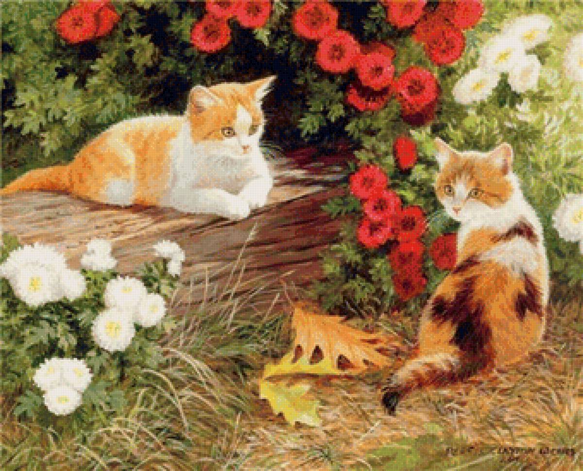 Пара - кошка, животные, коты, кот, цветы - предпросмотр