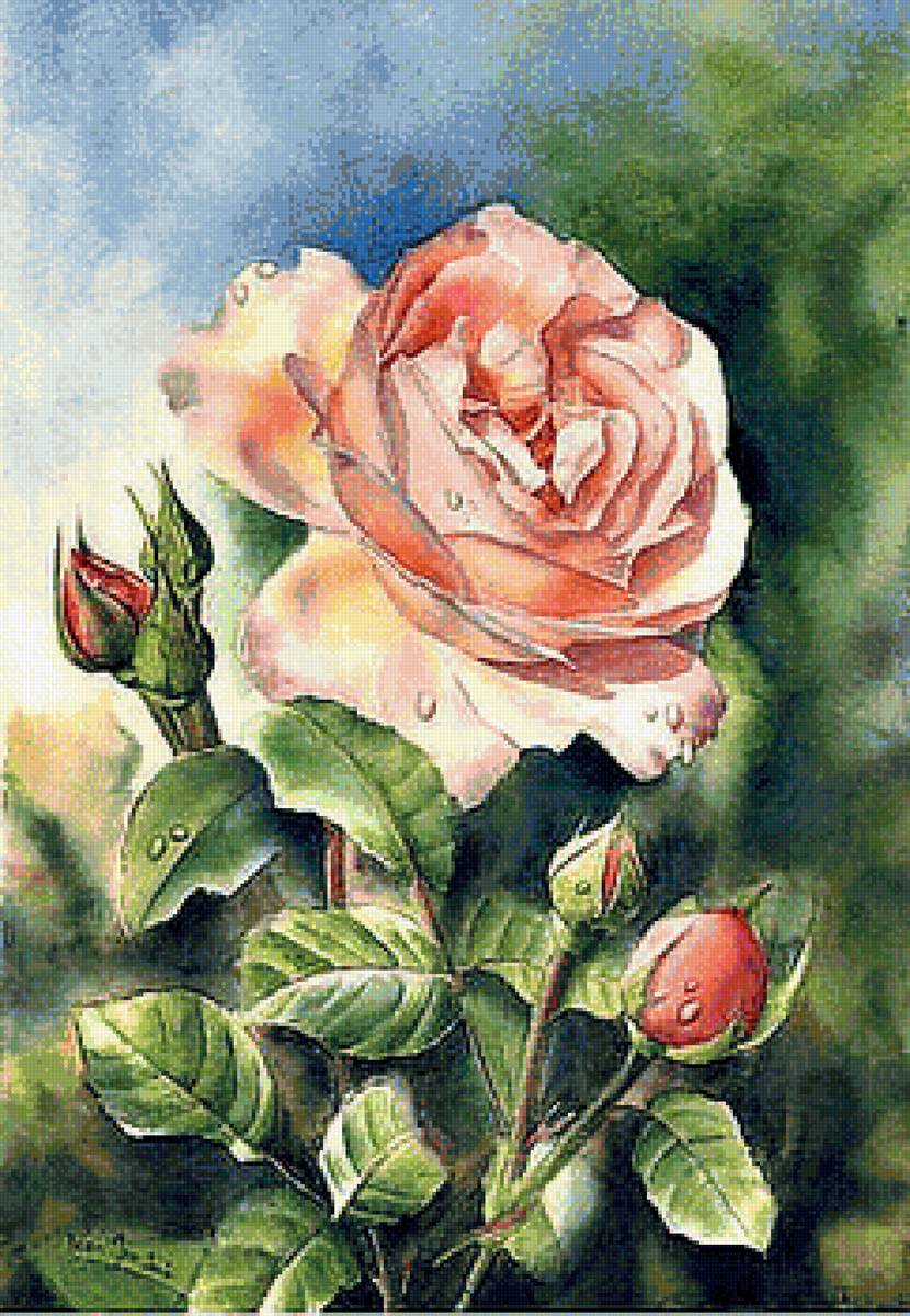 №1260726 - предпросмотр