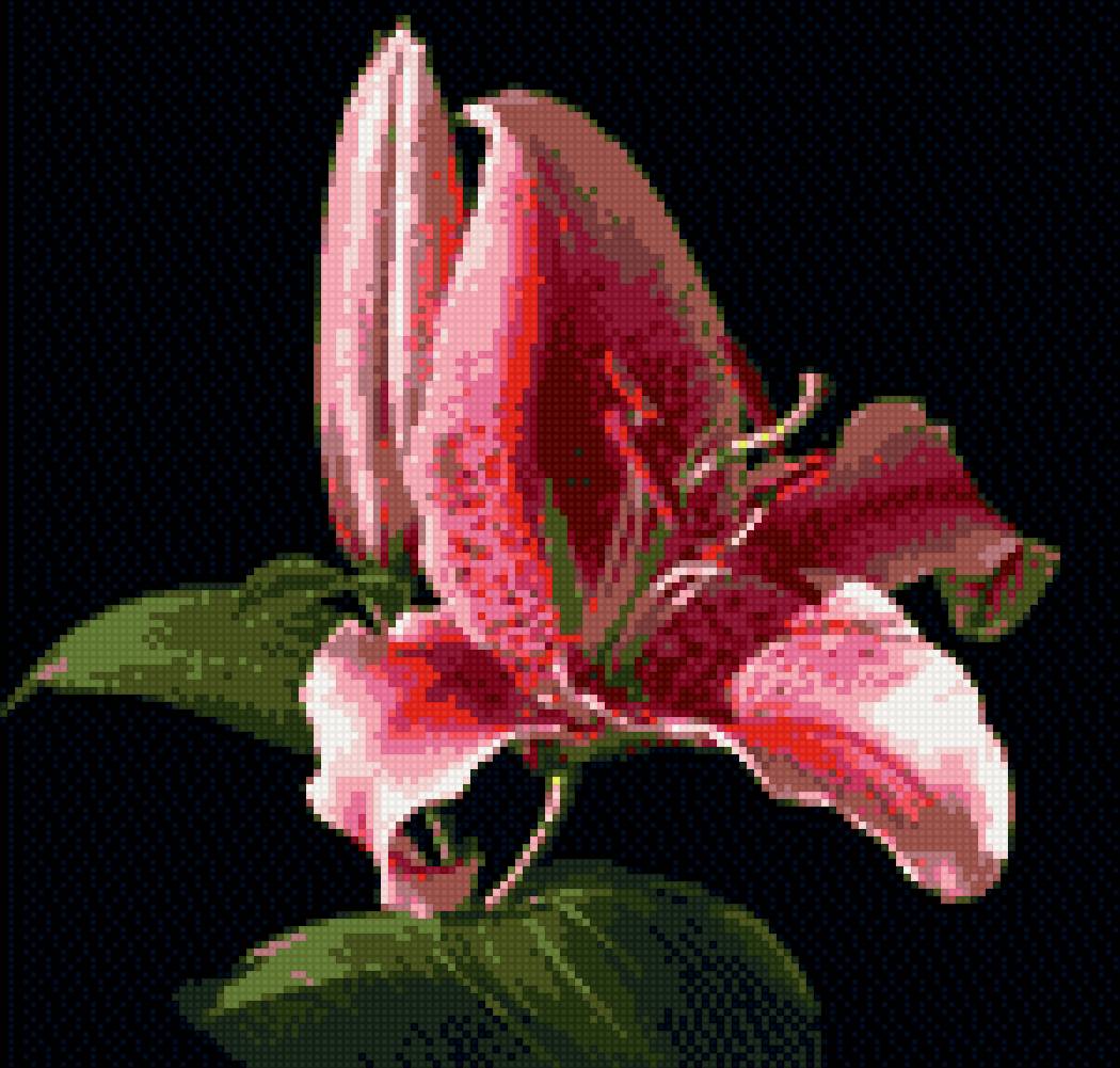 ветка лилии - лилии, цветы - предпросмотр