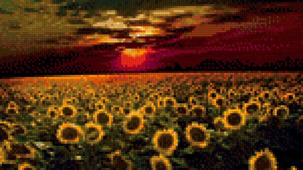 закат, поле пацолнухов - цветы, закат, пейзаж, природа - предпросмотр