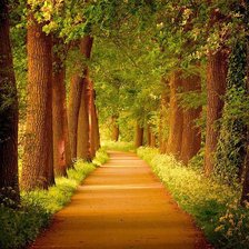 Схема вышивки «Тропа в лесу»