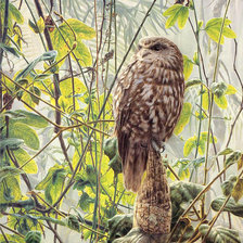 Схема вышивки «205»