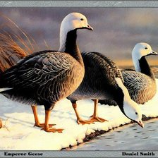 Схема вышивки «№1261782»