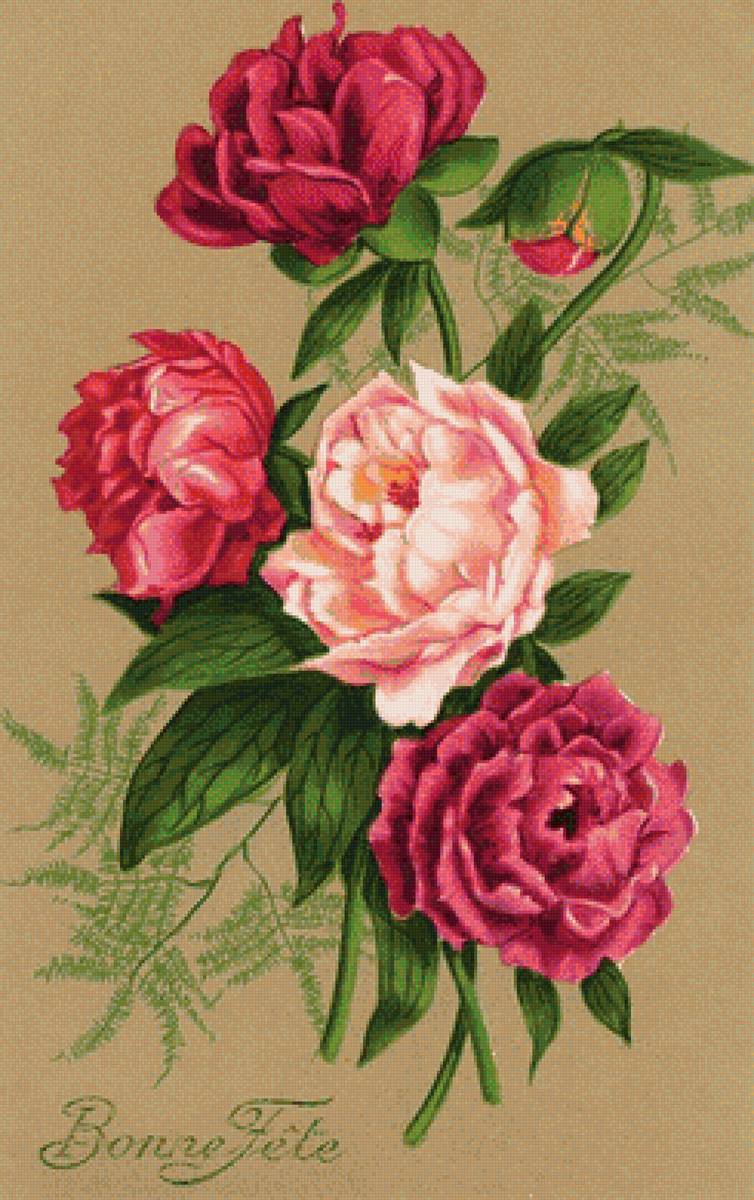 kvety - obrázok - предпросмотр