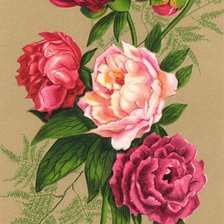 Схема вышивки «kvety»