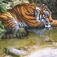 Схема вышивки «Серия "Фауна"»