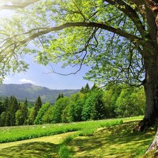 Схема вышивки «№1262540»