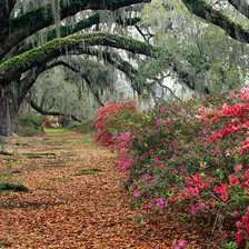 Схема вышивки «№1262550»