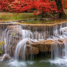 Схема вышивки «№1262559»