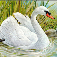 Схема вышивки «лебедь»