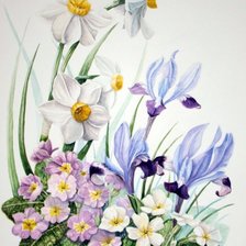 Схема вышивки «№1263493»