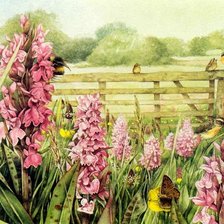 Схема вышивки «№1263500»