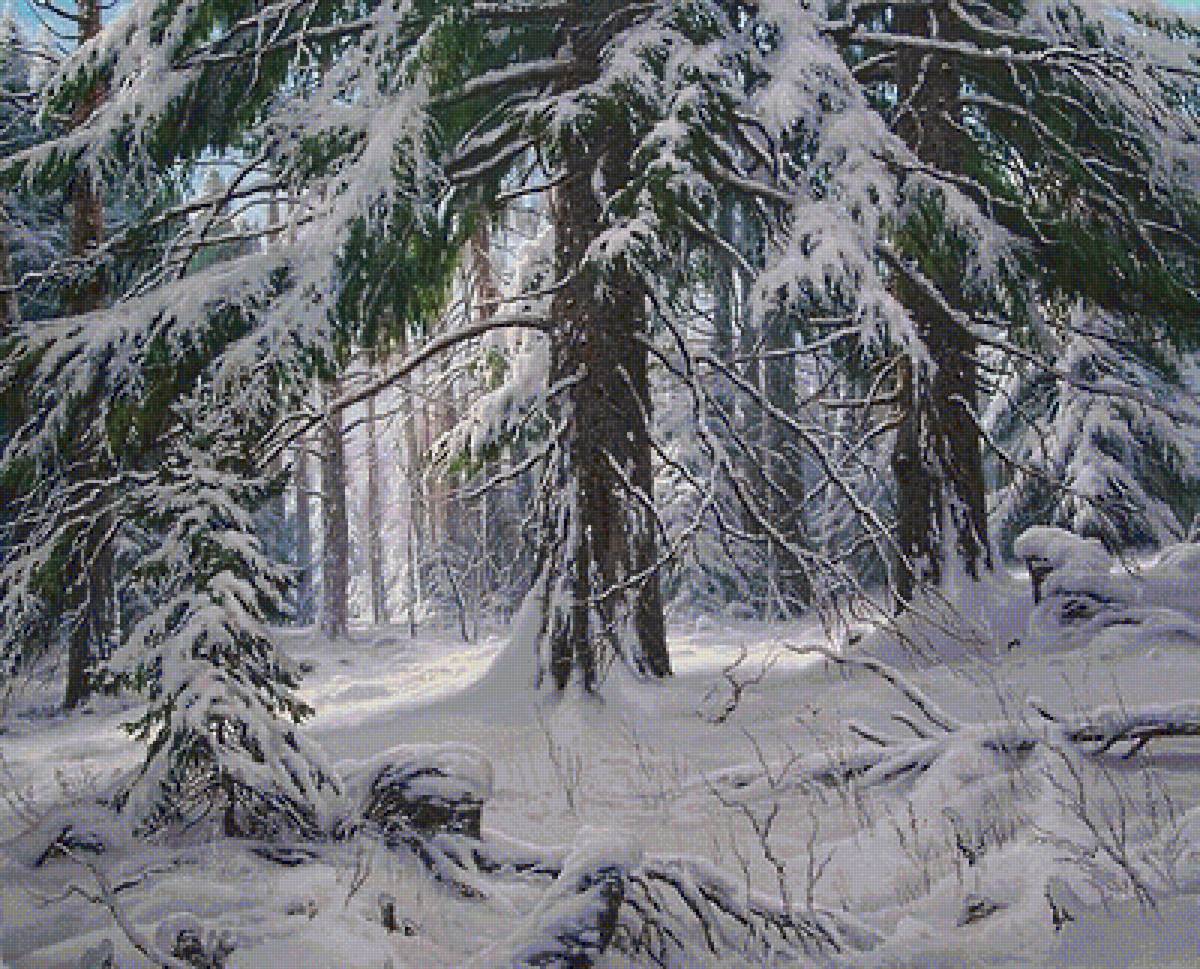 снежное царство - елки, зима, пейзаж, елка, лес, деревья, ель, ели, снег - предпросмотр
