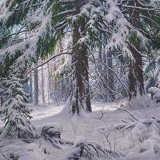 Схема вышивки «снежное царство»