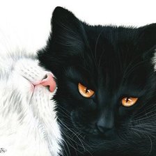 Схема вышивки «инь янь»