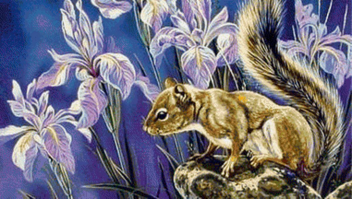 Белочка - животные, цветы - предпросмотр