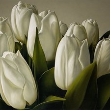 Схема вышивки «№1264543»