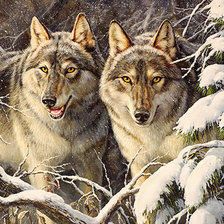 Схема вышивки «211»