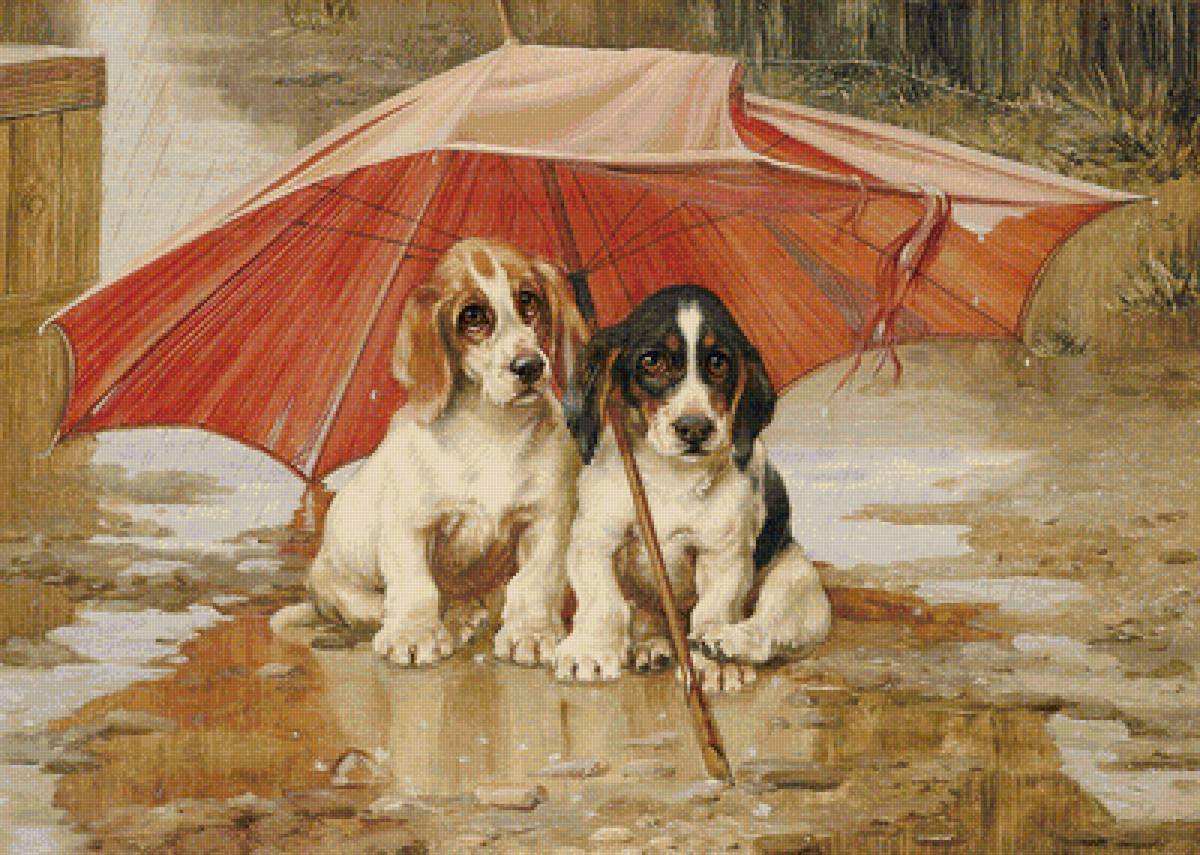 Под дождем - домашние любимцы - предпросмотр