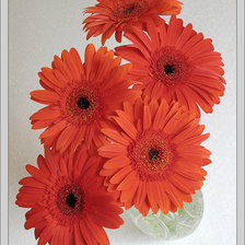 Схема вышивки «№1264559»