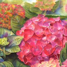 Схема вышивки «акварель Дорис Джоа»