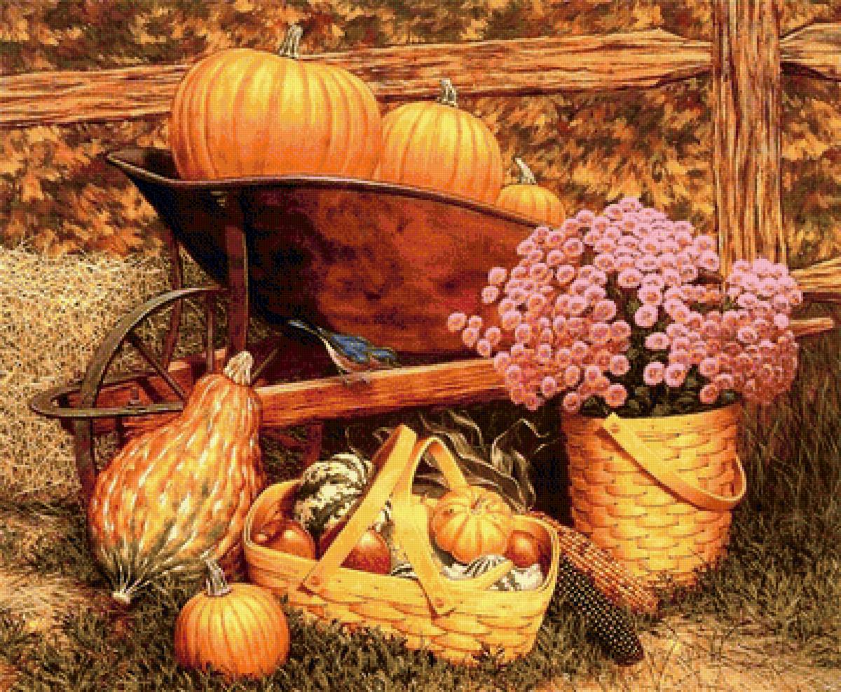 тыква - предпросмотр