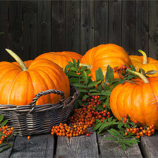 Схема вышивки «тыква»