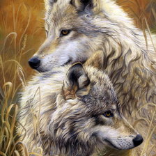 Схема вышивки «волки»