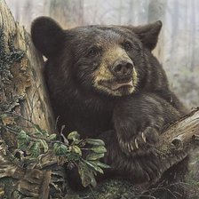 Схема вышивки «№1264998»