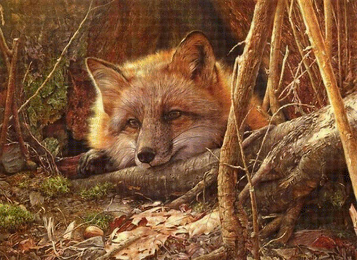 №1265000 - природа, осень, животные, картина, лиса - предпросмотр