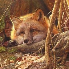 Схема вышивки «№1265000»