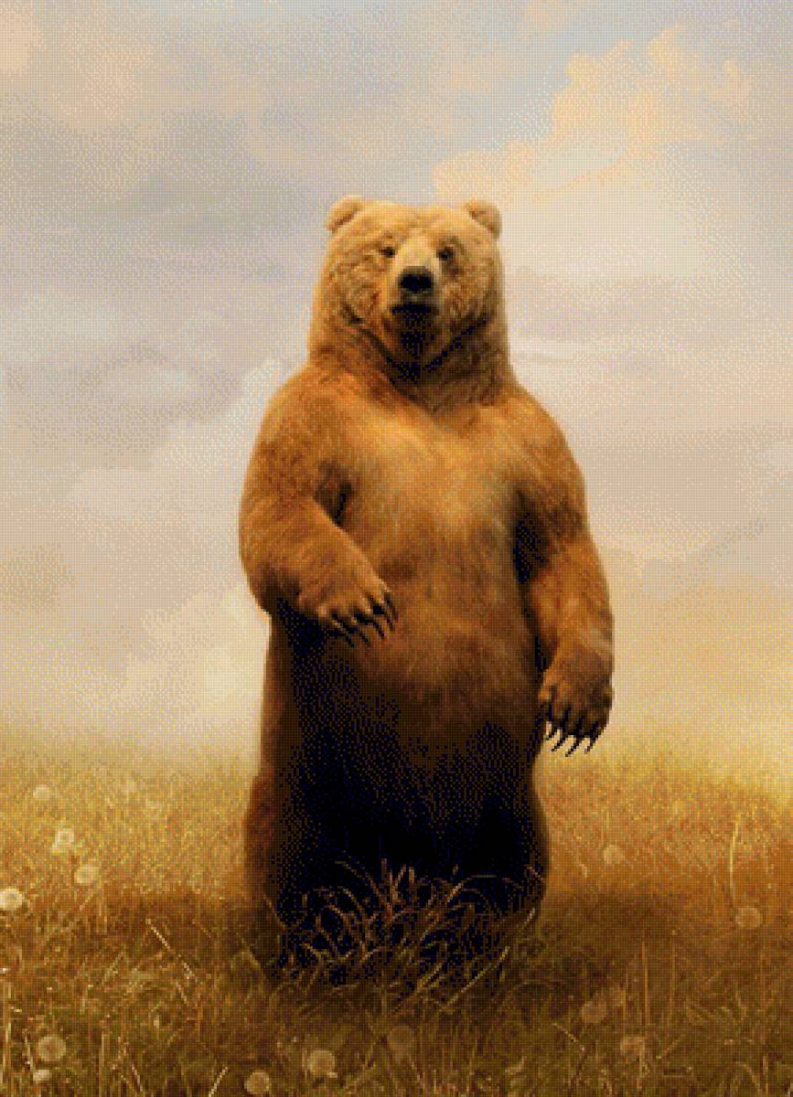 №1265004 - небо, цветы, животные, природа, луг, медведь, картина - предпросмотр