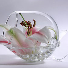 Схема вышивки «№1265047»