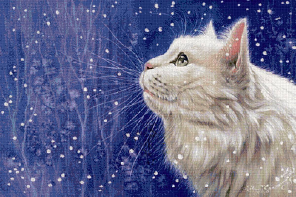 белый кот - предпросмотр