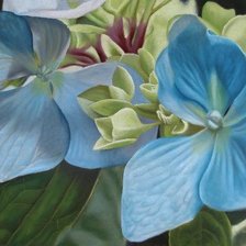 Схема вышивки «№1265445»