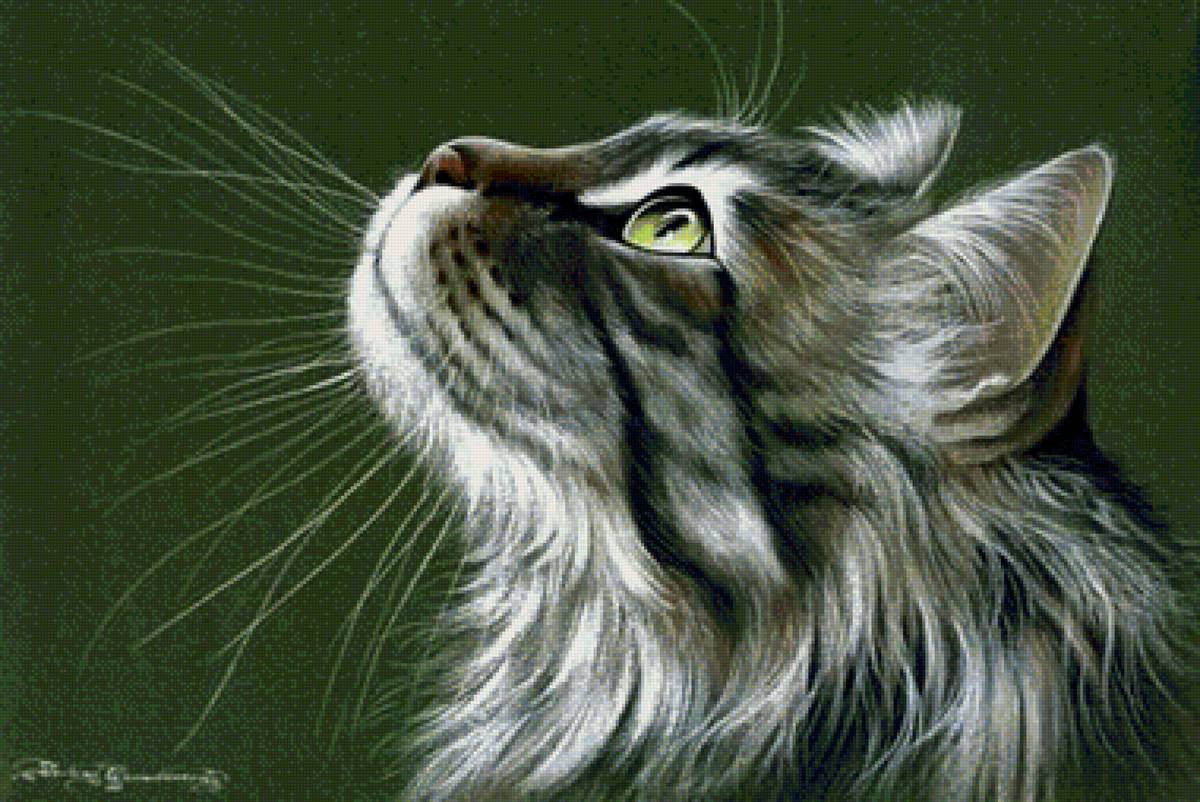 котейко - предпросмотр