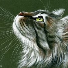 Схема вышивки «котейко»