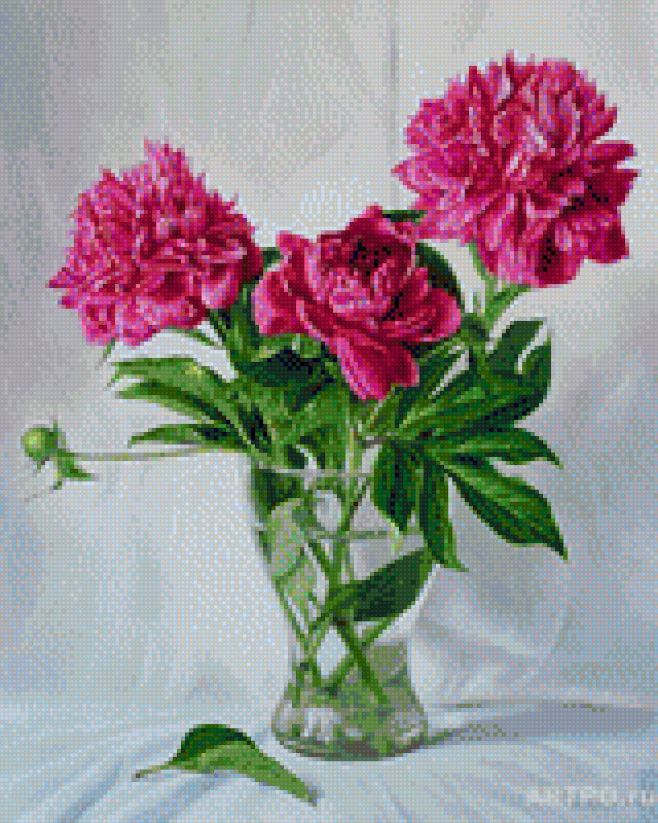 пионы - пионы, букет, натютморт, цветы - предпросмотр