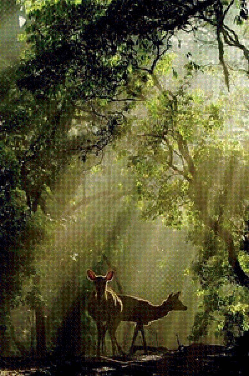 олени в лучах солнца - солнце, олени - предпросмотр